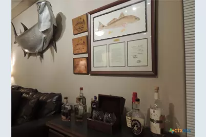 1 Alligator Head Lane, Port O'Connor, TX 77982 - Photo 29