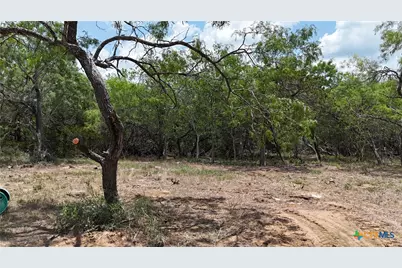 164 Fm 3158, Dale, TX 78616 - Photo 5