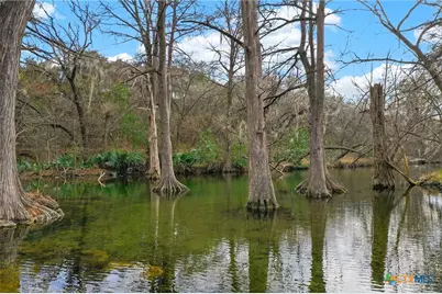 143 Bluff View Drive, Spring Branch, TX 78070 - Photo 23