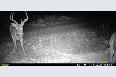 120 Cr 306, Brady, TX 76852 - Photo 39