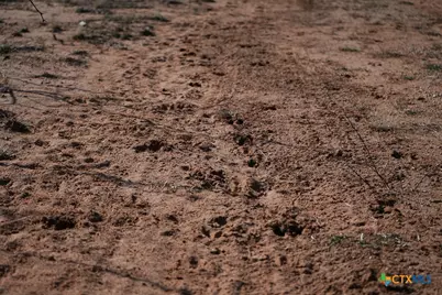 120 Cr 306, Brady, TX 76852 - Photo 25