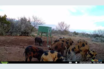 120 Cr 306, Brady, TX 76852 - Photo 43