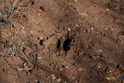 120 Cr 306, Brady, TX 76852 - Photo 27