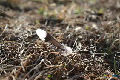 120 Cr 306, Brady, TX 76852 - Photo 15