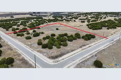 Lot 218 Heartleaf/Winecup Drive, Lampasas, TX 76550 - Photo 1