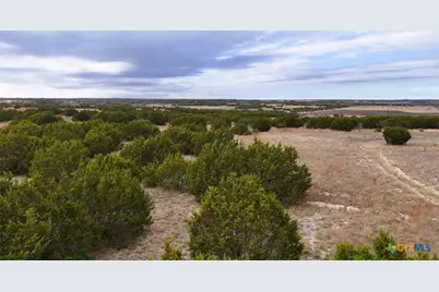 Lot 218 Heartleaf/Winecup Drive, Lampasas, TX 76550 - Photo 5