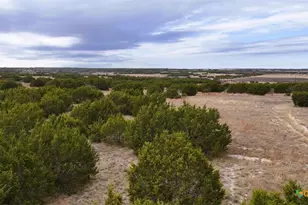 Lot 218 Heartleaf/Winecup Dr, Lampasas, TX 76550 - Photo 5