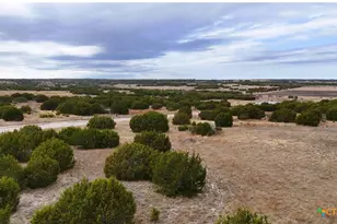 Lot 218 Heartleaf/Winecup Dr, Lampasas, TX 76550 - Photo 7