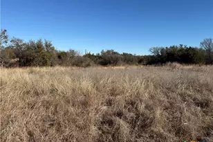 1 Cloudwood Ranch Rd, Briggs, TX 78608 - Photo 7