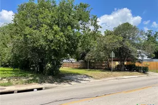 1006 N Guadalupe St, Seguin, TX 78155 - Photo 3