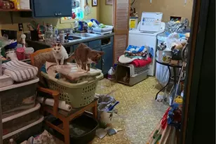 2518 Thompson St, Victoria, TX 77901 - Photo 5