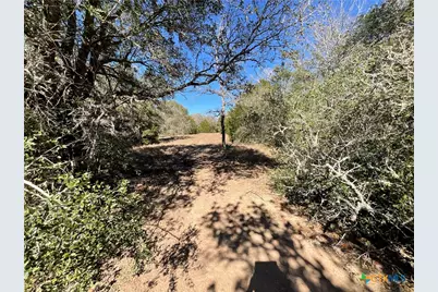 50 Acres County Road 212, Hallettsville, TX 77964 - Photo 35