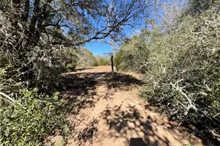 50 Acres County Road 212, Hallettsville, TX 77964 - Photo 35