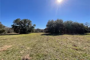 50 Acres County Road 212, Hallettsville, TX 77964 - Photo 23