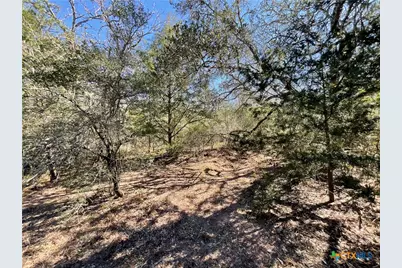 50 Acres County Road 212, Hallettsville, TX 77964 - Photo 47