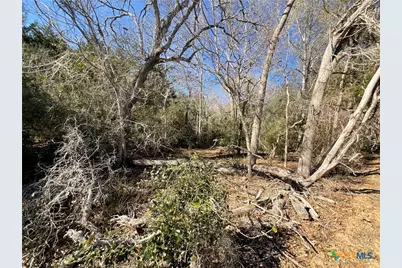 50 Acres County Road 212, Hallettsville, TX 77964 - Photo 3