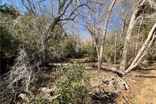 50 Acres County Road 212, Hallettsville, TX 77964 - Photo 3