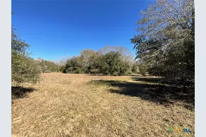 50 Acres County Road 212, Hallettsville, TX 77964 - Photo 25