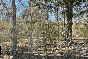 50 Acres County Road 212, Hallettsville, TX 77964 - Photo 7