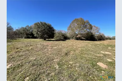 50 Acres County Road 212, Hallettsville, TX 77964 - Photo 21