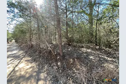 50 Acres County Road 212, Hallettsville, TX 77964 - Photo 5