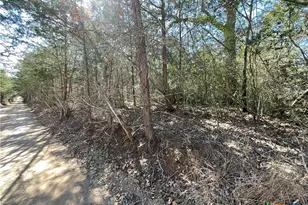 50 Acres County Road 212, Hallettsville, TX 77964 - Photo 5