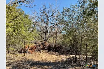 50 Acres County Road 212, Hallettsville, TX 77964 - Photo 17