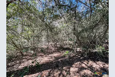 50 Acres County Road 212, Hallettsville, TX 77964 - Photo 33
