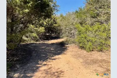 50 Acres County Road 212, Hallettsville, TX 77964 - Photo 15