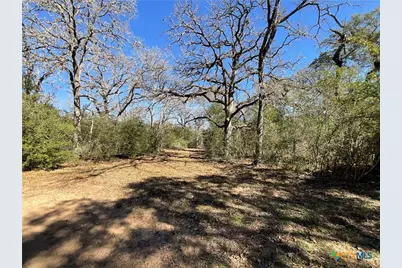 50 Acres County Road 212, Hallettsville, TX 77964 - Photo 37