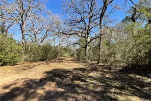 50 Acres County Road 212, Hallettsville, TX 77964 - Photo 37