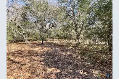 50 Acres County Road 212, Hallettsville, TX 77964 - Photo 31