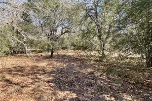 50 Acres County Road 212, Hallettsville, TX 77964 - Photo 31