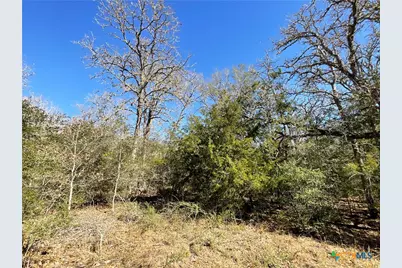 50 Acres County Road 212, Hallettsville, TX 77964 - Photo 45