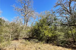 50 Acres County Road 212, Hallettsville, TX 77964 - Photo 45