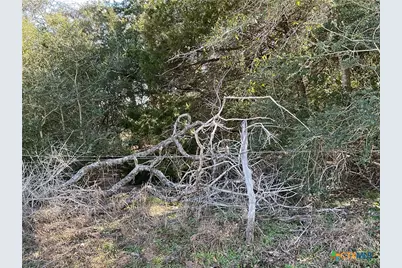 50 Acres County Road 212, Hallettsville, TX 77964 - Photo 9
