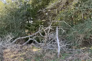 50 Acres County Road 212, Hallettsville, TX 77964 - Photo 9