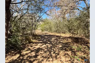 50 Acres County Road 212, Hallettsville, TX 77964 - Photo 29
