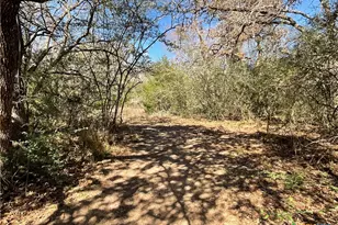 50 Acres County Road 212, Hallettsville, TX 77964 - Photo 29
