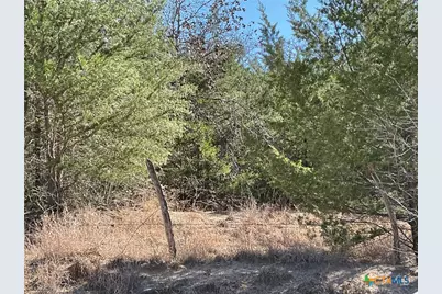 50 Acres County Road 212, Hallettsville, TX 77964 - Photo 11