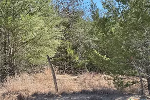 50 Acres County Road 212, Hallettsville, TX 77964 - Photo 11