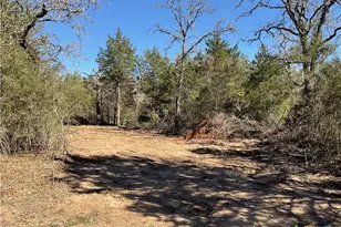 50 Acres County Road 212, Hallettsville, TX 77964 - Photo 39