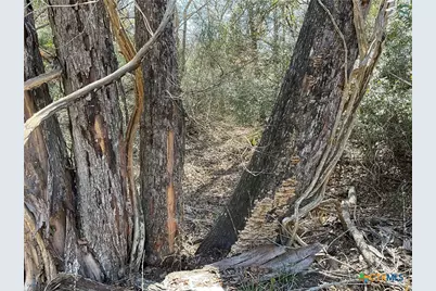 50 Acres County Road 212, Hallettsville, TX 77964 - Photo 27