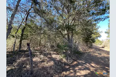 50 Acres County Road 212, Hallettsville, TX 77964 - Photo 1