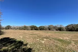 50 Acres County Road 212, Hallettsville, TX 77964 - Photo 19