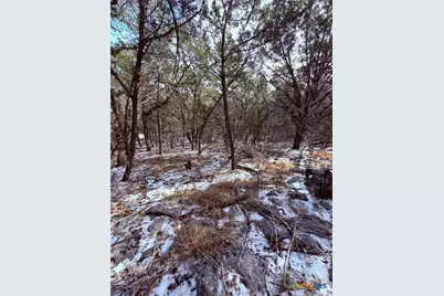 311 Serenity Pass, Spring Branch, TX 78070 - Photo 3