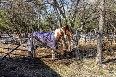 519 Eden Ranch Drive, Canyon Lake, TX 78133 - Photo 29