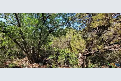 15921 Salado Drive, Temple, TX 76502 - Photo 7