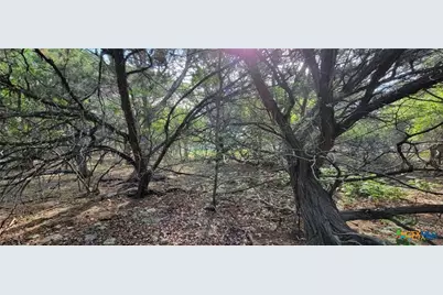 16082 Charlya Drive, Temple, TX 76502 - Photo 11