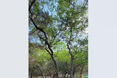 16082 Charlya Drive, Temple, TX 76502 - Photo 13